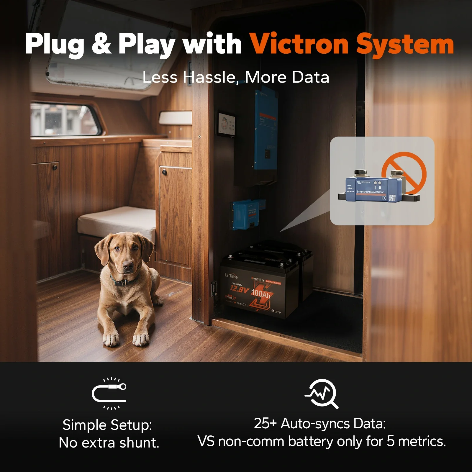 LiTime 12V 100Ah Smart ComFlex Battery with Bluetooth & Victron Communication - Image 4