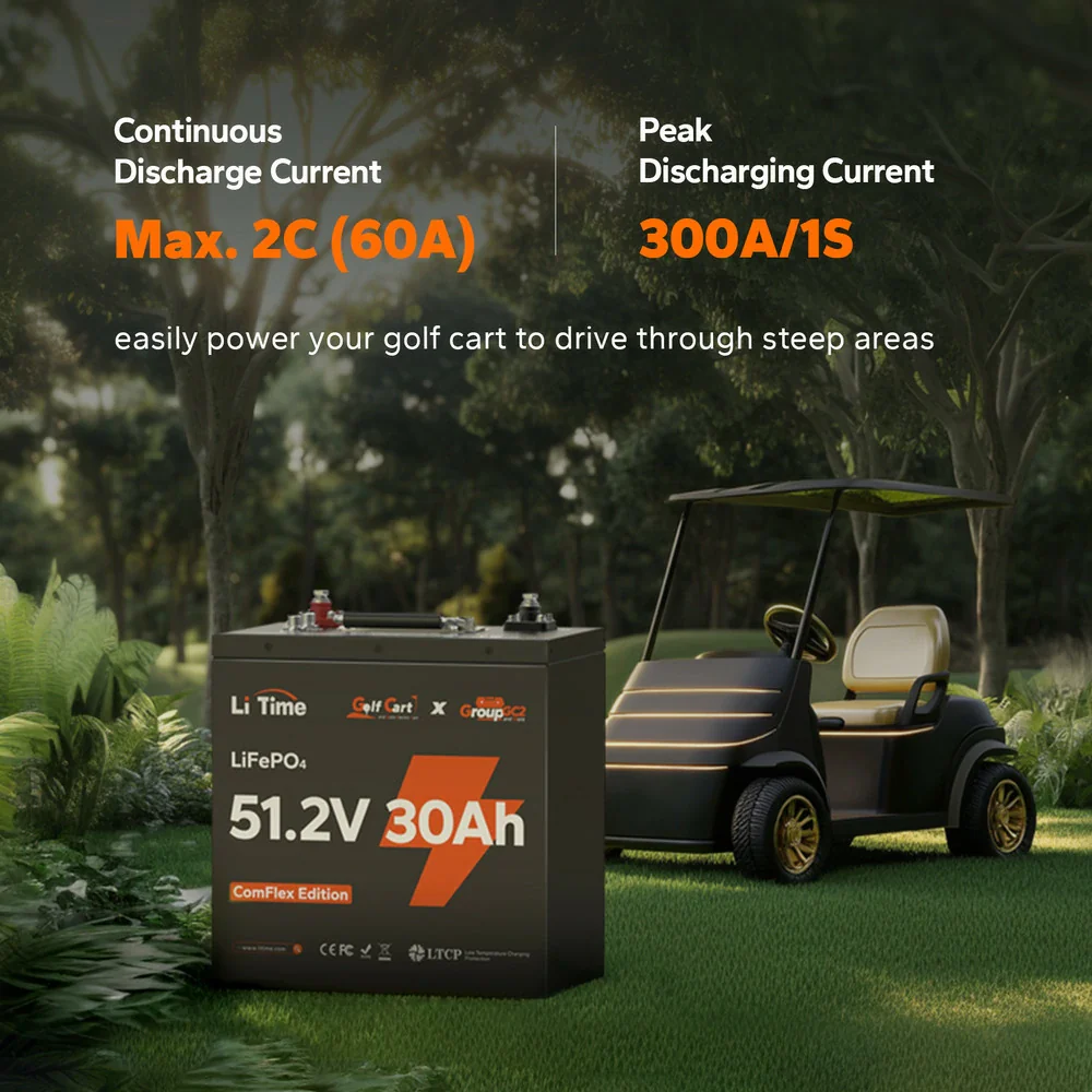 LiTime 48V 30Ah Lithium Golf Cart GC2 Metal Case RS485 Monitor Battery | 6V Battery Replacement - Image 5