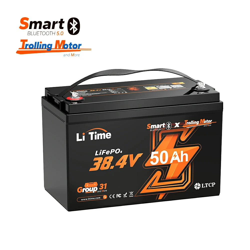 LiTime Best Sales LiFePO4 Lithium Battery